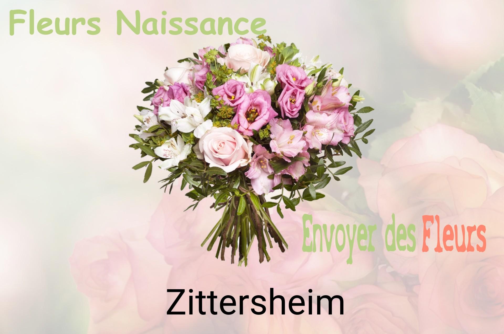 Bouquet de fleurs de naissance livré à Zittersheim